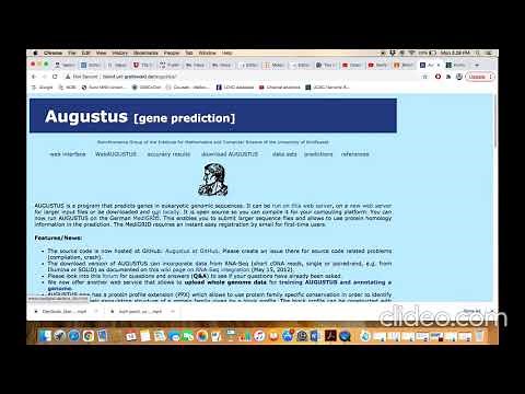 Augustus: A Gene Prediction tool