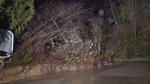 I could not believe it': Water main break triggers West Seattle mudslide