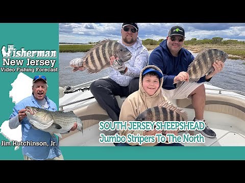 May 29th, 2025 New Jersey/Delaware Bay Fishing Report with Jim Hutchinson, Jr.