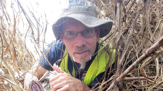 Python Q&A: Is it more challenging for a hunter to catch a male or female python?