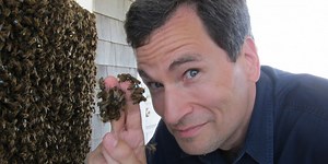 Nova scienceNOW | WTTW