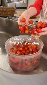 [2.5kg Cherry Prep] Jam Making Vlog🍒