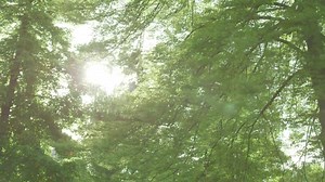 The transformative promise of a liberal arts education at Whitman College comes to life through student, faculty and staff testimonials. At Whitman, rigorous academics are supported by a collaborative and engaged network of teacher-scholars. Every Whitman experience is rounded out uniquely, as students encounter abundant opportunities for community service, global connectivity and extracurricular exploration. | Whitman College