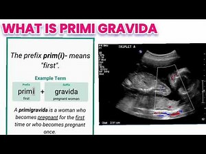 what is primi gravida #primigravida #midwifery midwifer