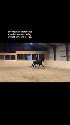 Mastering Equestrian Control: Riding Techniques Explained