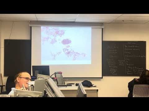 Lab4 Practical Review