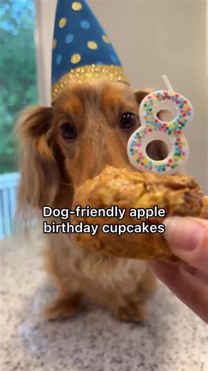 6.3K views · 1.8K reactions | Easy recipe for dog-friendly cupcakes to celebrate Roswell’s 8th birthday this week!拾 Don’t tell Chris we double dipped into his peanut butter‍↔️ Custom birthday plate from @pawtyplates  Recipe: 1/2 an apple 1/2 tsp baking powder 1 egg 3 tbsp natural peanut butter Bake at 350 for 20 minutes #dachshund #dogbirthday #dogrecipe #dogtreatrecipe #homemadedogtreats #dogbirthdayparty #dogbirthdaycake | Roswell Weenie | Facebook