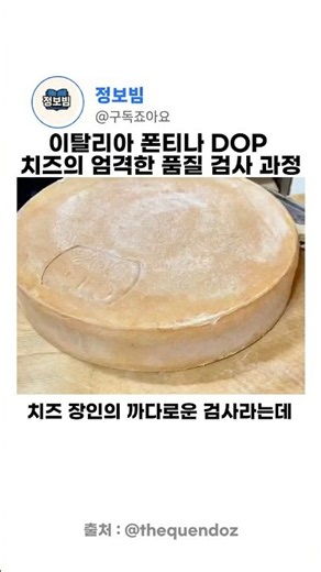 이탈리아 폰티나(Fontina) DOP 치즈의 엄격한 품질 검사 과정 🧀
