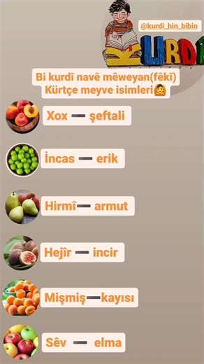 Kürtçe Meyve İsimleri ve Sevdiğiniz Meyveler Hangileri? 🤗
