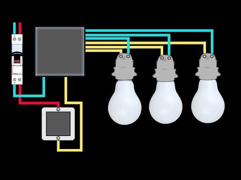 How to Wire Multiple Lights from One Switch – Correct Wire Gauge & Protection