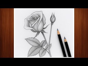 How to Draw a Beautiful Rose Flower | Very Easy Pencil Sketch Tutorial for Beginners (Step-by-Step)
