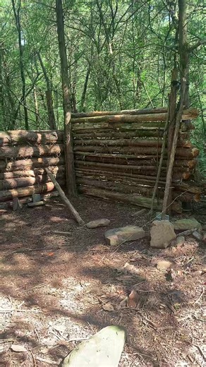 Incredible DIY Log Cabin Project by Teens