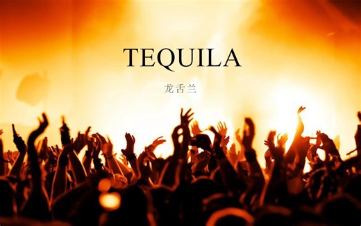 《Tequila》龙舌兰-拉丁舞曲 | 上海MIA管弦乐团 | 上海交响乐团商演 | 上海小型管弦乐团 | 上海婚礼乐团