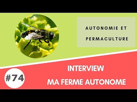 Interview My Self-Sufficient Farm / Living Without Money