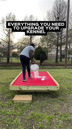 The Cleanest Outdoor Dog Kennel Setup You’ll See Today 🔥 #OutdoorDogKennel