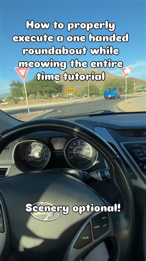 Liam Scott on Instagram: "Got another driving one for you guys because you love them, and I also do too. This one requires two essential things that are listed in the title. Hope you guys enjoy executing this one. #tutorial #car #roundabout #meow #funny"