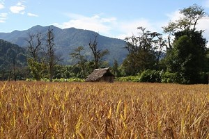 Dragon Run! - Free Addicting Game ★★★★★