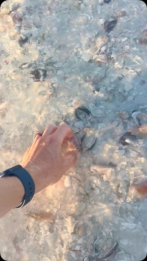 961 reactions · 16 shares | Step into serenity with the soothing...