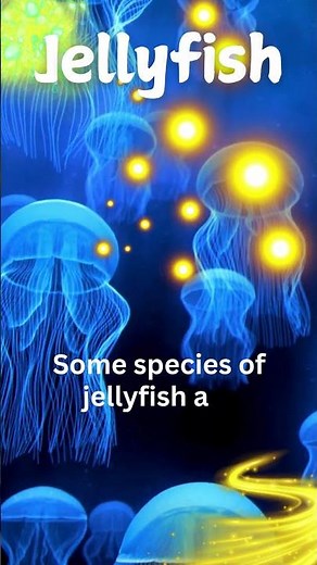 Jellyfish Fun Facts for Kids! [Educational Video] #kids #facts #naturecuriosities