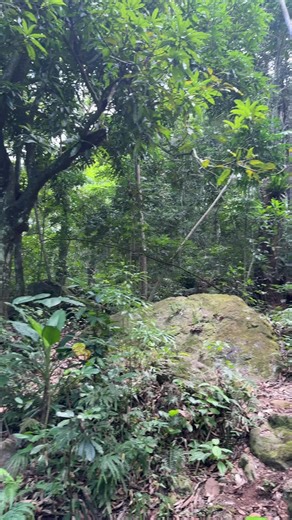 En búsqueda del one pi 🕵️