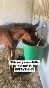 323K views · 10K reactions | More Gracie updates Well…we have a...