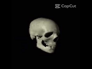 Spinning skull head trend yeat already rich 1 hour