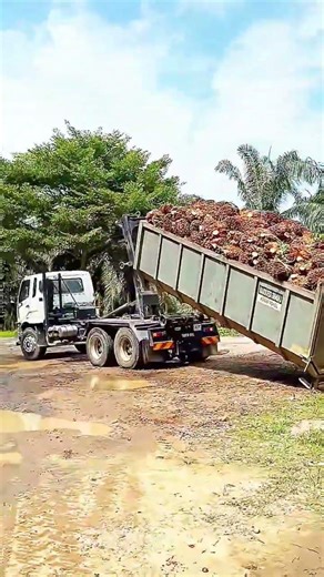 One Wrong Move and It’s Over—Watch Closely! #truck #truckdriver #viralvideo #automobile #harvest