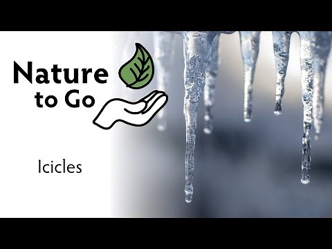 Nature to Go | Icicles – Learn How Icicles Form