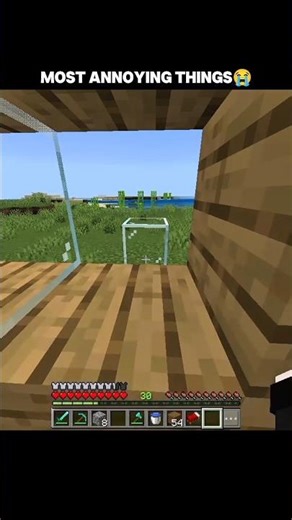 Most Annoying things in Minecraft 😭 #minecraft