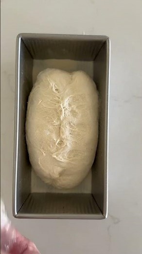 you can bake sourdough bread without a dutch oven