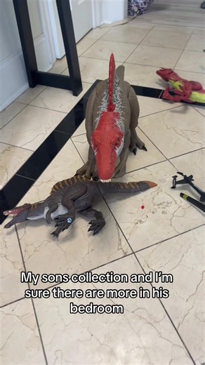 My nephew has been a Dino loving boy for a few years now. Once they moved to our state, my sons love for Jurassic began and grew exponentially. We (husband & I) have bought all of these Dino’s between summer time and now. He also received some from others as bday gifts in. I’ve bought from Walmart, target, eBay, FB marketplace, garage sales and I’m sure other places. I promise my kids are well loved. Well spoiled. Well rounded individuals. I am sports team mom, I am class room mom, I am the mom 