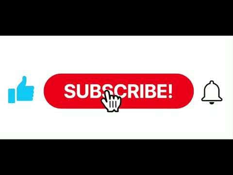 “Human Skull with Jaw: A Step-by-Step Drawing Guide”