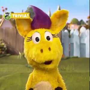 Get ready for some hee-hawesome #PBSKIDSTRIVIA! Can you answer this question about Donkey Hodie? Head to our Instagram TRIVIA 3 highlight for more questions! | PBS KIDS