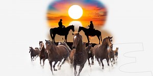 All the Pretty Horses