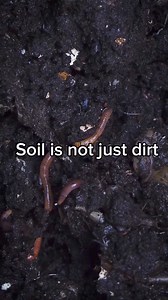 3.7K views · 120 reactions | Soil is far more than just dirt—it's a vibrant, living ecosystem teeming with microorganisms, fungi, and bacteria that create a dynamic environment essential for life on planet earth.  Regenerative agriculture embraces this reality by nurturing soil’s natural vitality through its practices.  Learn more about soil through our soil advocate training course: https://kisstheground.com/education/soil-advocate-training/ | Kiss The Ground | Facebook