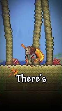 Reviewing Types of Terraria Wood