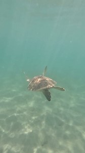 6.8K views | Jordan Stringfellow on Reels | Facebook