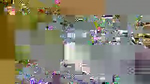 Meet Mary! Mary Butler is NBCC’s new President & CEO. Headed into the new decade, we’re excited for you to get to know her a little better! | NBCC