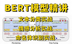 自然语言处理BERT模型实战教程：基于BERT模型的文本分类、感分析及中文命名实体识别实战教程！真的通俗易懂！（人工智能、深度学习、机器学习、机器学习算法）_哔哩哔哩_bilibili