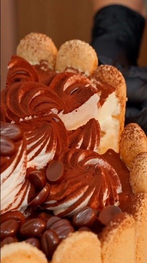 ✨🤎 TIRAMISU CAKES, THIS YEAR'S TREND 🤎✨