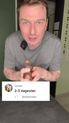 Tastetest: Dagestan Früchte und Essens Tipps