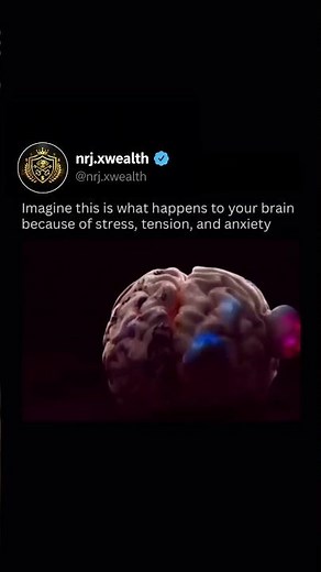 How The Brain Works 🧠 #brain #ytshorts #explore
