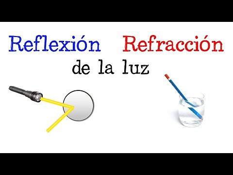 💡Reflection and Refraction of Light💫 | EXAMPLES | [Easy and Quick] | PHYSICS |