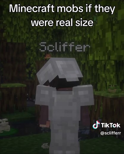 Why Minecraft Mobs Are So Cute