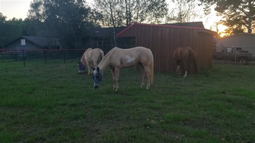 LR Leatherworks on Reels