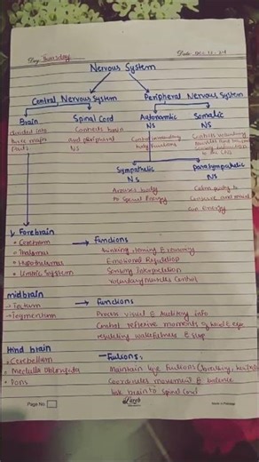 Structure of nervous | cns and pns | brain , spinal cord and nerves #nervoussystem #biology