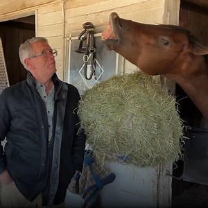 Saddle up, Kentucky — this race is just getting started. | Dale Romans