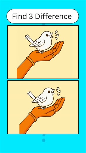 75K views · 332 reactions | Find the 3 Hidden Mistakes Before the Timer Runs Out! | Quiz Time | Facebook