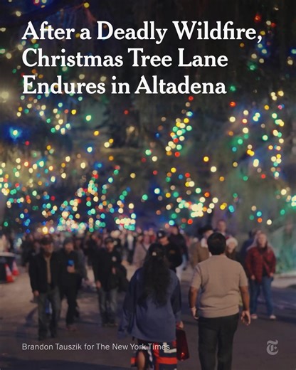 As hurricane-force winds showered fire embers down on Altadena in January, it seemed almost impossible that much would survive. But while some of the towering deodar cedars lining Santa Rosa Avenue were singed by fire and damaged by wind, they survived. Today, the twinkling lights of Christmas Tree Lane are illuminating Altadena, California, once again — as they have each December for more than a century. https://nyti.ms/497SziS | The New York Times