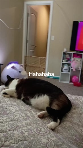 #fartsoftictok #neverthesame #pergecttiming